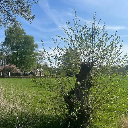 Holiday home Zonneoord *