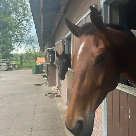Zonneoord