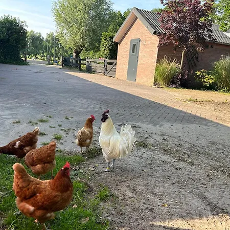 Zonneoord Dom wakacyjny