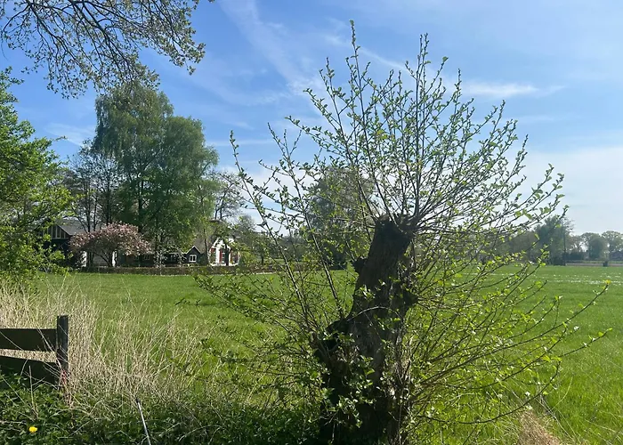 Holiday home Zonneoord *