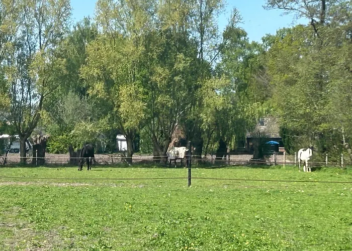 Ferienhaus Zonneoord *