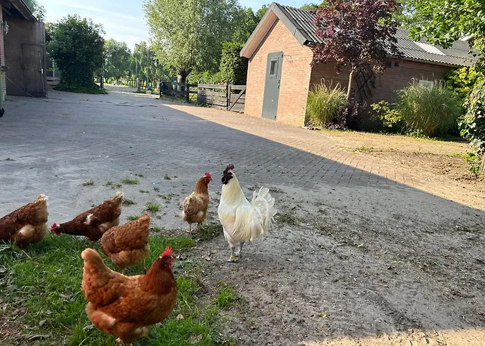 Zonneoord Ferienhaus