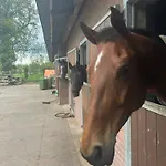 Zonneoord